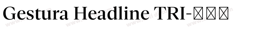 Gestura Headline TRI字体转换 Gestura Headline TRI字体转换